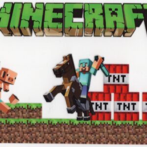 Minecraft 16oz